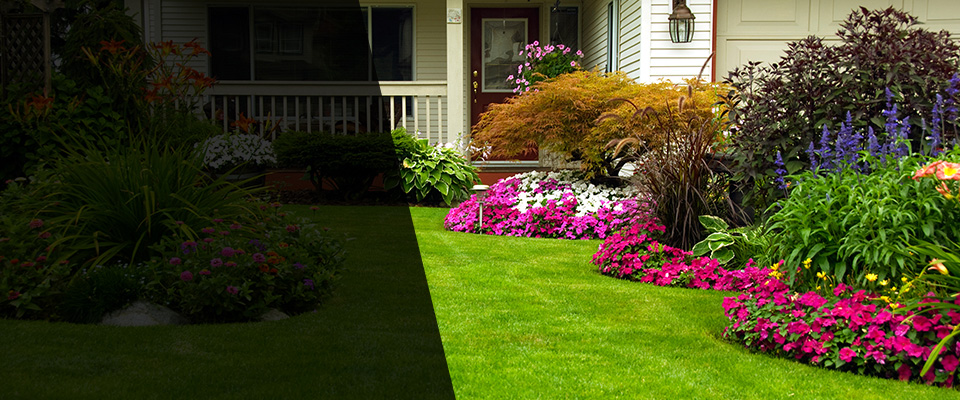 Frederic Landscapers