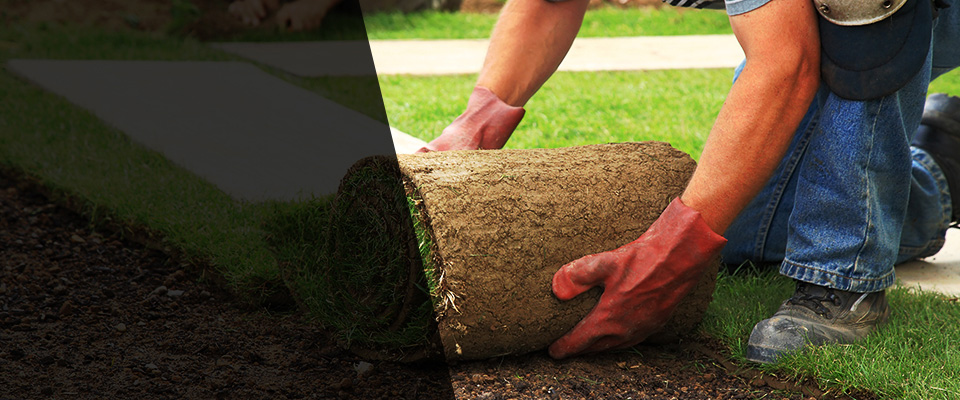 Frederic Landscapers